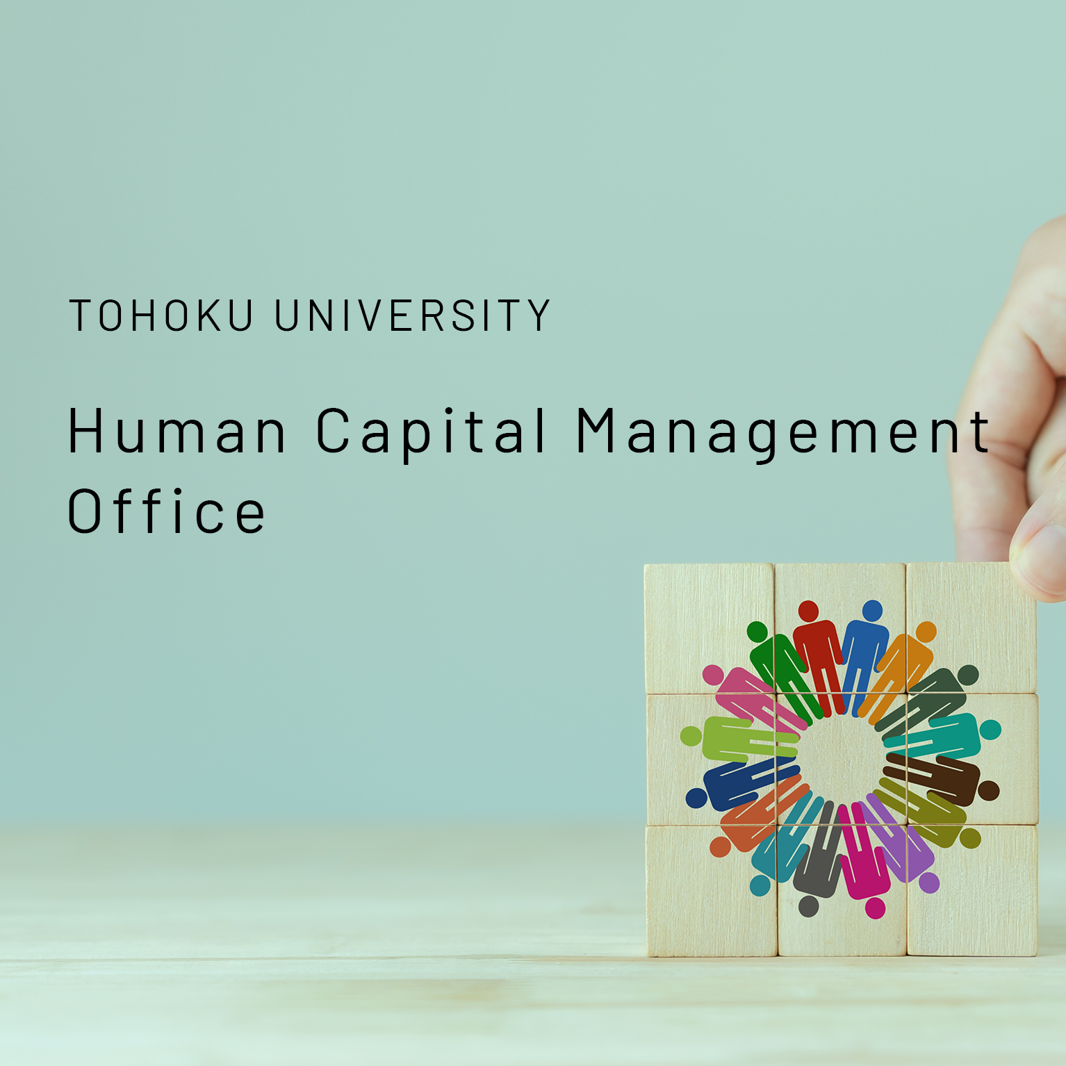 Tohoku University Human Capital Management Office Key visual