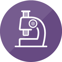 Research Staff